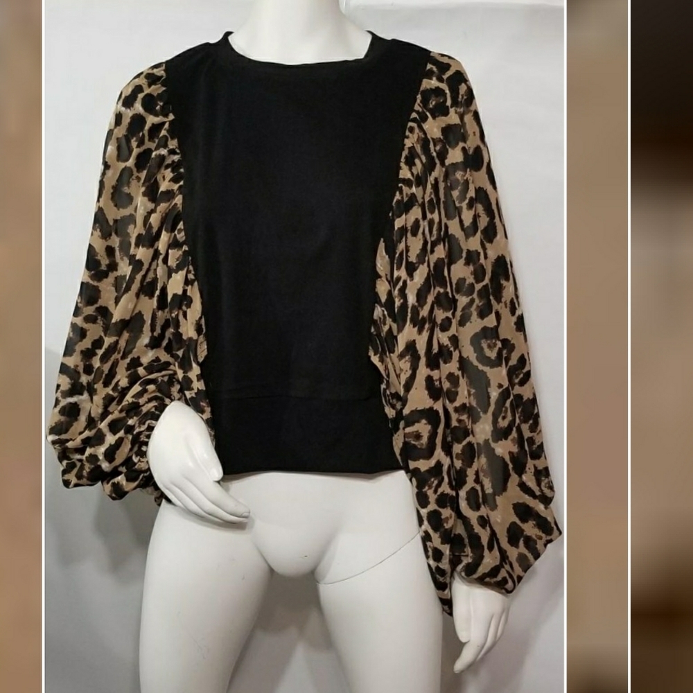 Oversize Dramatic Batwing Sleeves Top